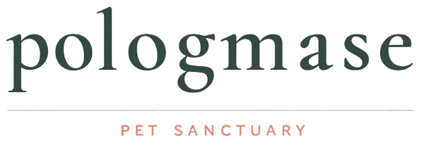 pologmase.co.uk